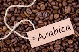 Cà phê Arabica