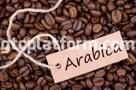 Cà phê ARABICA hảo hạng xuất khẩu
